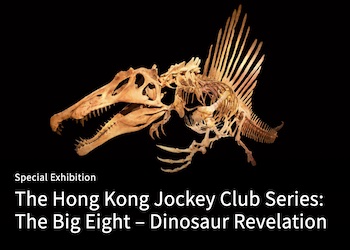 Big Eight Dinosaur Revelation Exhibition