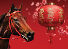 CNY Horse Races Hong Kong